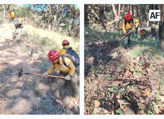 Brigadas de Jalisco refuerzan labores preventivas contra incendios forestales este 14 de noviembre