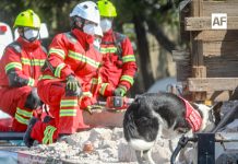 Protección Civil de Colima destaca saldo blanco en la Feria y avances históricos en fortalecimiento institucional