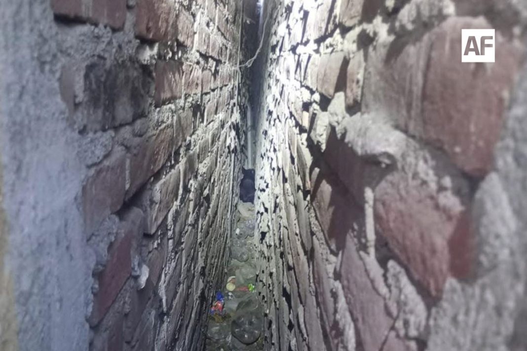 rescate-perrito-tecoman-bardas-03