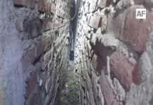 Rescatan con éxito a perrito atrapado entre dos bardas en la colonia Unión de Tecomán