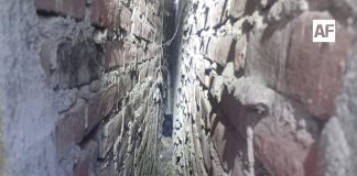 Rescatan con éxito a perrito atrapado entre dos bardas en la colonia Unión de Tecomán