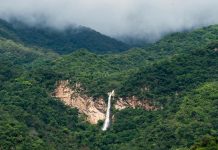 Gobierno del Estado de Colima reafirma su compromiso con la protección de la riqueza natural