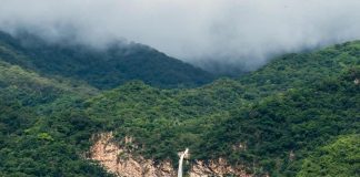 Gobierno del Estado de Colima reafirma su compromiso con la protección de la riqueza natural