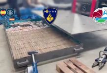 Desarticulan en España la “oficina” del Cártel de Jalisco Nueva Generación; 20 detenidos y toneladas de droga aseguradas