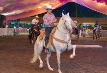 Corceles Iberos y Costa Rica engalanan el Teatro del Caballo en la Feria de Colima
