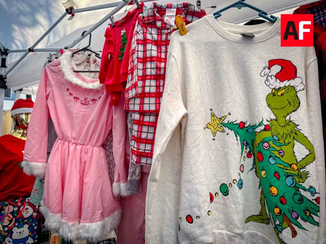 tianguis pulga av republica_33