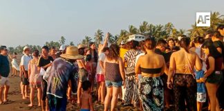 Más de 500 tortugas golfinas son liberadas en Boca de Pascuales, Tecomán