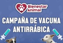 Acercará Gobierno de Manzanillo vacunas antirrábicas gratuitas a comunidades