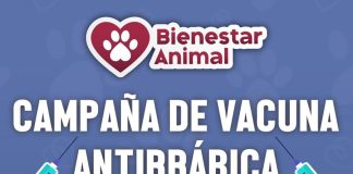 Acercará Gobierno de Manzanillo vacunas antirrábicas gratuitas a comunidades