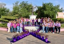 Con diversas acciones, atiende VdeA la violencia contra las mujeres: Tey