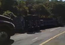Volcadura de tráiler deja cuantiosos daños materiales en la carretera libre Manzanillo–Armería