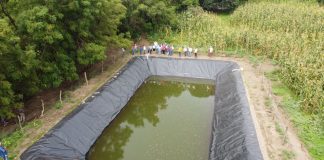 Gobierno del Estado de Colima abre convocatoria para apoyar a productores agrícolas