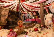 Gobierno reporta amplia afluencia el Bosque Navideño en el Parque Regional