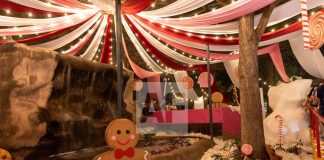 Gobierno reporta amplia afluencia el Bosque Navideño en el Parque Regional