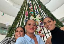 Estudiantes de Artes Visuales crean árbol navideño en la UdeC