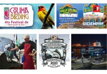 Colima impulsa el turismo deportivo y de naturaleza con eventos internacionales y nuevas experiencias para visitantes