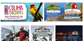 Colima impulsa el turismo deportivo y de naturaleza con eventos internacionales y nuevas experiencias para visitantes