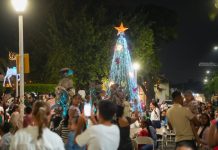 Encabeza Tey Gutiérrez encendido del Árbol de Navidad en VdeA
