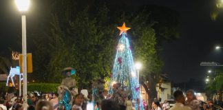 Encabeza Tey Gutiérrez encendido del Árbol de Navidad en VdeA