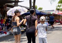 Regresan Mercado de Pulgas y Tianguis del Automóvil a la Feria de Colima