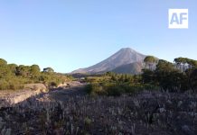 Volcán de Fuego está en calma y no representa riesgo: UEPC Colima