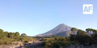 Volcán de Fuego está en calma y no representa riesgo: UEPC Colima