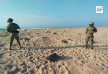 Marina protege la llegada de más de 113 mil tortugas golfinas en costas de Oaxaca