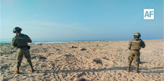 Marina protege la llegada de más de 113 mil tortugas golfinas en costas de Oaxaca