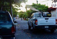 Salud Colima mantiene firme la fumigación contra el dengue