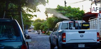 Salud Colima mantiene firme la fumigación contra el dengue
