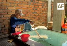 Salud Colima refuerza control larvario en municipios con riesgo de dengue