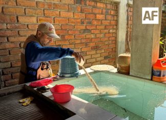 Salud Colima refuerza control larvario en municipios con riesgo de dengue