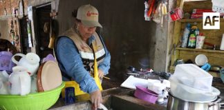 Salud Colima amplía el control larvario en los 5 municipios de riesgo del dengue