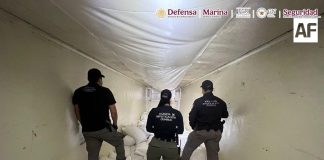 En Sinaloa, detienen a dos personas que transportaban más de 300 kilos de metanfetamina en un tractocamión