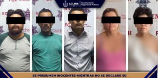 Detienen a cinco personas por delitos contra la salud en Colima, Manzanillo y Tecomán