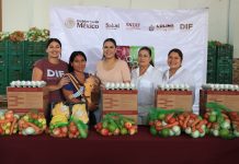 DIF Estatal Colima fortalece la alimentación de familias vulnerables en esta temporada decembrina