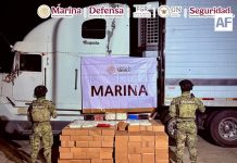 Fuerzas federales aseguran más de media tonelada de metanfetamina en el recinto portuario de Mazatlán