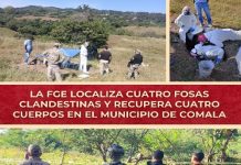 FGE localiza cuatro fosas clandestinas y recupera cuatro cuerpos en el municipio de Comala