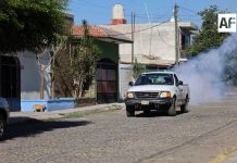 Salud Colima refuerza fumigación contra dengue en los municipios de riesgo