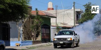 Salud Colima refuerza fumigación contra dengue en los municipios de riesgo