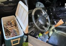 Aseguran armas y vehículos durante cateo en Arandas, Jalisco