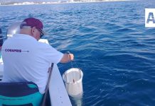 Todas las playas del estado de Colima son aptas para uso recreativo: Coespris