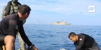 Personal de la Armada de México rescata y libera a dos tortugas marinas en costas de Michoacán