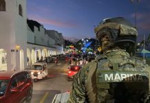 Resultados semanales de la estrategia “Pez Vela 2025” reflejan avance sostenido en seguridad, señala Semar