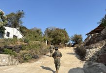 Reportan avances significativos en la Estrategia de Seguridad “Pez Vela 2025” tras operativos conjuntos en Colima