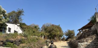 Reportan avances significativos en la Estrategia de Seguridad “Pez Vela 2025” tras operativos conjuntos en Colima