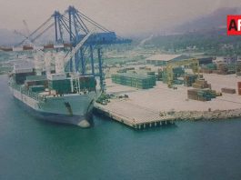 Manzanillo pasó de 86 mil TEU’s en 1995 a rozar los 4 millones en 2025