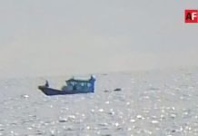 Continúa búsqueda de chef desaparecido en playa de Cuyutlán