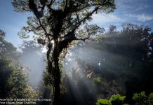 México y Canadá renuevan alianza para la conservación de Áreas Naturales Protegidas