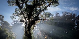 México y Canadá renuevan alianza para la conservación de Áreas Naturales Protegidas